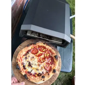 Horno de pizza a Gas de 12 pulgadas, cocina de jardín al aire libre, de acero inoxidable, portátil, pequeña, para pizza y barbacoa