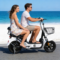 Bicicleta Eléctrica Urbana de Alta Calidad para Adultos, Motor de 350W con 3 Velocidades en la Rueda Trasera, Batería de Plomo-Ácido, Ligera, Alcance de 60 km