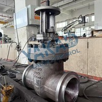 Katup Bola dengan Gagang Pengunci Baja Tahan Karat untuk Aplikasi Industri Kritis yang Berkepentingan Keselamatan