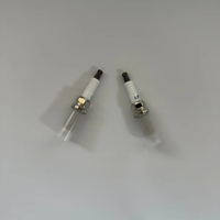 Bougie d'allumage Iridium 5960.17 5960.66 Bujias pour Renault Citroën Peugeot 206 307 Clio