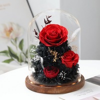 Groothandel Hot Selling Ge conserveerde Bloem Glazen Koepel Cadeaubox Eeuwige Roos Langdurig 3-5 Jaar Houdbaar Aanpasbare Kleuren Moederdag