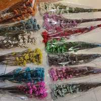 Ge conserveerde Milletbloem (absorptiegeverfd) Yunnan oorsprong 60-70cm voor Moederdag, Thanksgiving & Chinees Nieuwjaar decoratie