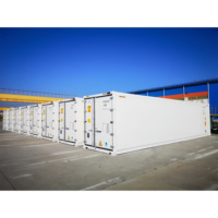 Conteneur frigorifique offshore de 20 pieds avec unités de réfrigération Thermoking Capacité de 28, 3 m3 Porte entièrement ouverte pour le transport routier