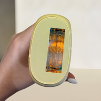 Appareil d'épilation au laser IPL de haute qualité à vente chaude en Asie du Sud-Est, double tube lumineux, 24j, épilateur saphir haute énergie