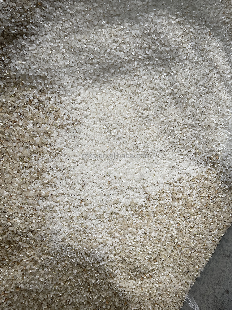 European standard quality 1500-2000 kg per hour mini auto ctnm15b rice mill machine