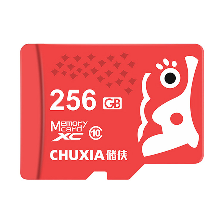 256GB