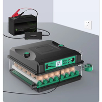 Incubateur d'oeufs de poule entièrement automatique 220V/110V/12V 260 incubateur d'oeufs à couver pour caille canard oie Pigeon