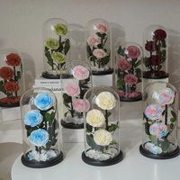 Boîte cadeau de la Saint-Valentin Belle Enchanted avec rose naturelle, fleurs éternelles, rose éternelle dans un dôme en verre avec LED