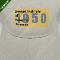 Gorras de Béisbol 2026 al por Mayor, Nuevas, con Logotipo Personalizado, Diseño Deportivo con Puntos, Estampado de Leopardo, Algodón Original de Alta Calidad, Ajustables