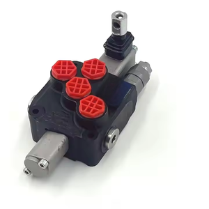 DCV20 Manual 1 palanca Controles hidráulicos Manual Monoblock Válvula direccional-Serie DCV20 | Venta al por mayor y OEM - Product Image 5