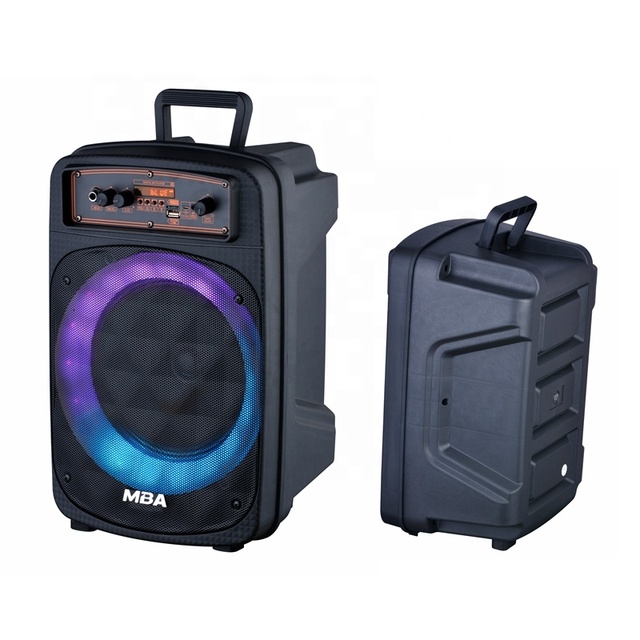 Economical 8 Inch Digitize Portable Multifunction Rechargeable Trolley Speaker With Subwoofer