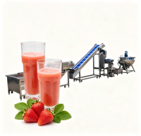 Ligne de traitement automatique de jus de fraises avec broyage de fruits congelés et remplissage aseptique à froid pour usine de boissons