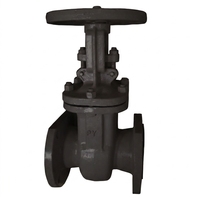 Válvula de Compuerta de Servicio Pesado Estándar GOST 30s41nzh Z41H-16C PN16 con Brida Manual de Acero Inoxidable con Sello YAOSHENG para Suministro de Agua