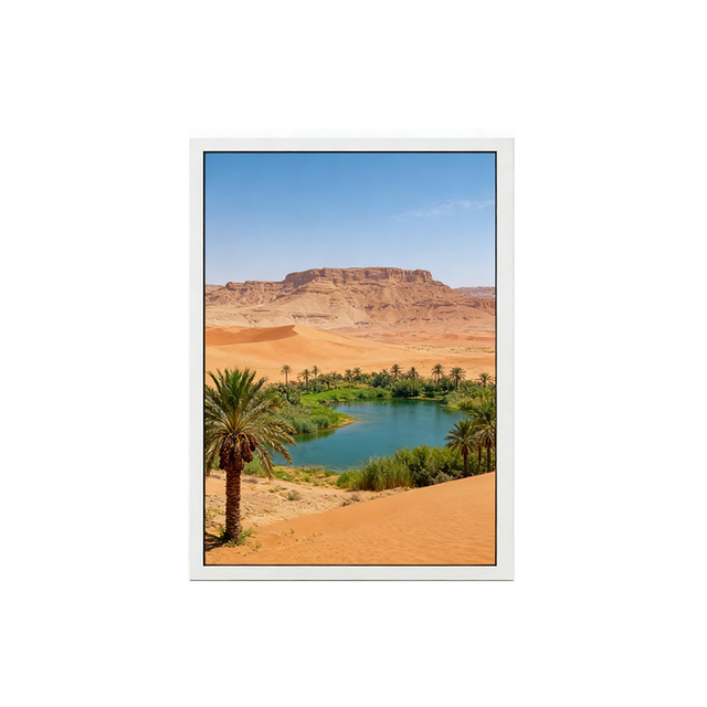 31.5 Inch Wide Angle 178 Degree 1080*1920 E Paper Display Module with Low Power Supply