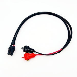 Кабель-жгут для аккумулятора на заказ с 2-контактным разъемом, красно-черный, с клеммами, силовой провод - Product Image 2