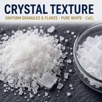 Commande ODM Expédition Rapide Chlorure de Calcium Anhydre CaCl2 Anti-Givre pour Pistes d'Aéroports