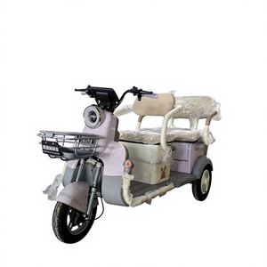 Triciclo Doble Mini, Scooter de 3 Ruedas de Baja Velocidad para Compras Diarias Familiares y Turismo - Product Image 1