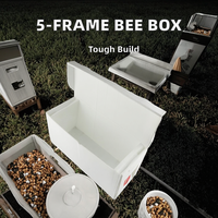 Nouvel équipement d'apiculture Langstroth, ruches en plastique 5 cadres, boîte de reproduction, mangeoire à abeilles, couleur blanche, usage agricole, garantie 3 mois