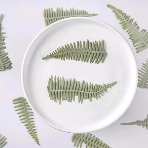 Dicranopteris Dichotoma pressé fleur plante feuille spécimen époxy étui de téléphone portable signet cadre Photo autocollant bricolage à la main - Product Image 2