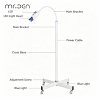 Lampe de sol mobile de haute qualité Mr.Den, lampe LED laser mobile, lampe de blanchiment, 3 couleurs bleu rouge violet pour salon de blanchiment dentaire