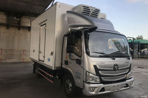 Camiones Refrigerados Foton 4X2 de 18m³ en Oferta, Camión Frigorífico de Cadena de Frío de 5 Toneladas para Transporte de Alimentos Congelados - Product Image 3