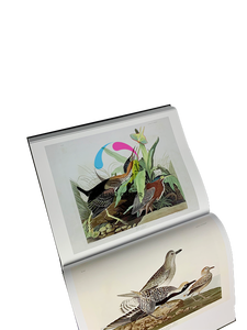 Servizi di stampa di libri fotografici e di catalogo-libri con copertina rigida di fantasia/carta Offset A4/A5 taglie porcellana per gli ordini all'estero - Product Image 6