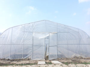 Abri <span class=keywords><strong>de</strong></span> <span class=keywords><strong>pluie</strong></span> à faible coût pour serre agricole avec double couche pour la culture <span class=keywords><strong>de</strong></span> légumes - Product Image 4