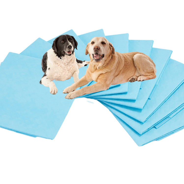 Empapadores súper absorbentes para mascotas, empapadores para perros cachorros, pañales para perros