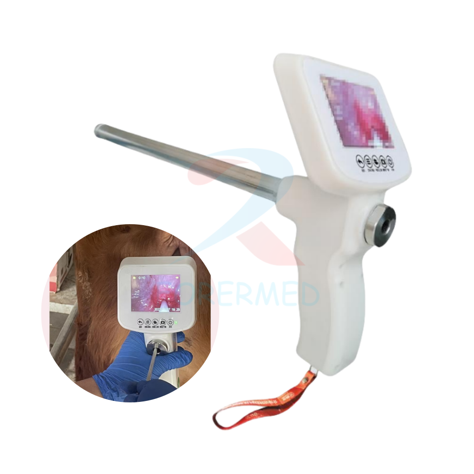 Cattle Artificial Insemination Gun Veterinary Instrument Portable AI ...