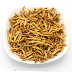 Alimento pequeno do aquário da mealworm da proteína alta, alimentação do pássaro do peixe da frango do alimento - Product Image 2