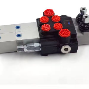Válvula de Control Direccional Neumática Hidráulica P40 para Cilindros de Doble Acción |   Suministro Directo de Fábrica y Servicio OEM - Product Image 3