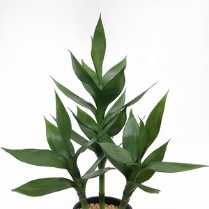 Bambú de la Suerte Artificial de 55 cm de Altura, <span class=keywords><strong>Dracaena</strong></span> Sanderiana, Bonsái Artificial, Venta al por Mayor - Product Image 2