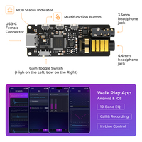 Module PCBA amplificateur DAC USB-C haute résolution pour usine, double puce SGM8262, égaliseur 10 bandes, fonction d'enregistrement d'appels pour ODM de produits audio