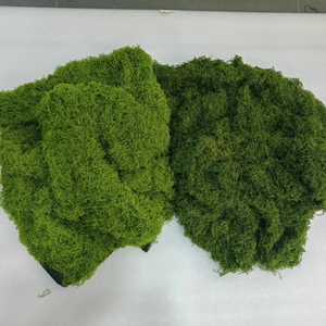 1M * 1M lumut hijau buatan rumput lumut plastik karpet lumut tanaman realistis lumut dinding untuk dekorasi - Product Image 6
