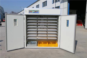 Incubadora Industrial Automática para 1000-100000 Huevos de Gallina, Nueva Máquina de Incubación de 220V para Huevos de Avestruz y Pavo - Product Image 5