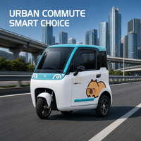 Voiture électrique élégante à 3 roues, carrosserie fermée, petit véhicule de transport de passagers, véhicule électrique à faible vitesse (NEV) pour les trajets familiaux courts