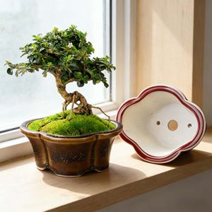 Purple Clay Ceramic Flower Pots Tabletop Small Pots Succulent <b>Personalized</b> Mini Fuchsia Pots <b>Sweet</b> Flag Bonsai Pots Flowers Vase - Product Image 3