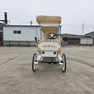 Low Prices Factory Customization Electric Classic Four-Wheel Sightseeing Carriage <b>Awning</b> Wedding Use Seating 4-6 People - Product Image 6