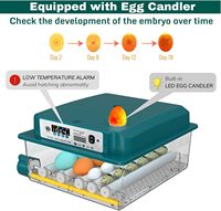 Incubateur automatique d'œufs de 16 capacités avec rotation et humidification pour œufs de poule et de caille en plastique 220V