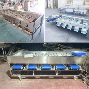 Cherry Date Mango <b>Vegetable</b> <b>Fruit</b> Olive Garlic Automatic Size Grading Sorting <b>Machine</b> for <b>Fruit</b> and Table - Product Image 2