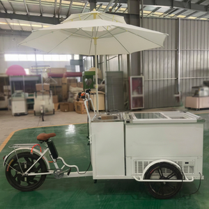 Carrito de Comida Eléctrico de Acero Inoxidable, Plegable y Portátil, con Triciclo de Montaje Inverso, Color Personalizable, Doble - Product Image 1