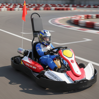 Diseño anticolisión comercial QIQU para pistas de Kart, motores duales de 450W, tracción trasera, Go Kart eléctrico