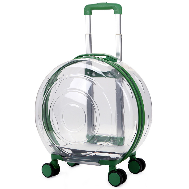 Caja de burbujas - Totalmente transparente - Verde