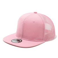 Gorras de Béisbol Hip-Hop de 6 Paneles con Logotipo Personalizado Bordado, al por Mayor, de Alta Calidad, Unisex, Talla Grande, Visera Plana, Malla Transpirable para Exteriores