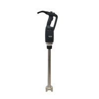 Mixeur plongeant professionnel IB500LV 500W en acier inoxydable de qualité 304, avec tige extra longue de 20 pouces, pour mélange commercial à volume élevé