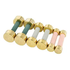 Quality Weighted Custom Rose Golden Chrome Steel Dumbbell