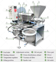 Commerciële huishoudelijke oliepersmachine voor pinda's, sesam, zonnebloem, kokosnoot, olijf, sojabonen en palmolie.