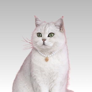 Venta al por mayor de lujo de cristal perro gato Halloween Navidad <span class=keywords><strong>collar</strong></span> - Product Image 2