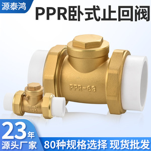 Válvula de Retención Horizontal de Cobre y Latón PPR-63 DN26 para Bomba de Agua y Medidor de Agua - Product Image 3