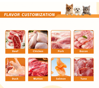 Gouttes antibiotiques OEM/ODM pour animaux de compagnie : soutien naturel contre les infections pour chats et chiens, solution pour tous âges, compléments de soutien immunitaire et de santé